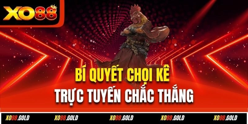 Cách Chơi Đá Gà Online – Quy Định Và Bí Quyết Hay Từ Xo88