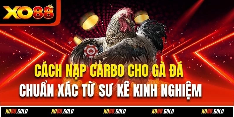 Cách Nạp Carbo Cho Gà Đá – Mẹo Hay Từ Sư Kê Lão Làng