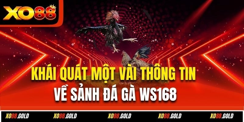 Khái quát một vài thông tin về sảnh đá gà WS168