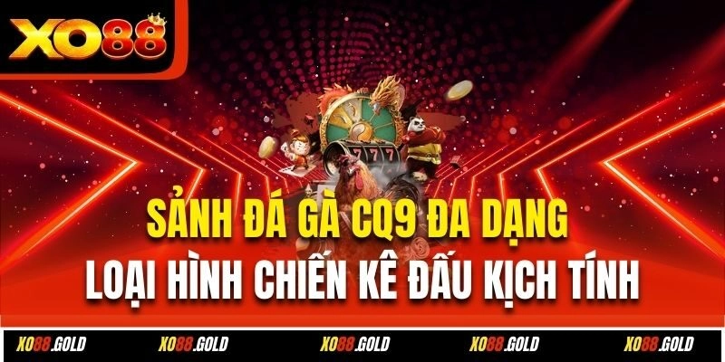 Lý do sảnh đá gà CQ9 hấp dẫn bet thủ đam mê