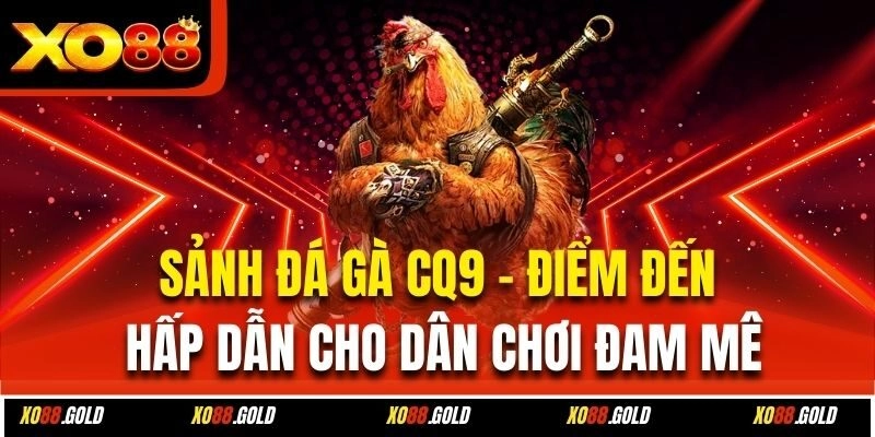 Sảnh đá gà CQ9 cá cược trực tuyến đỉnh cao