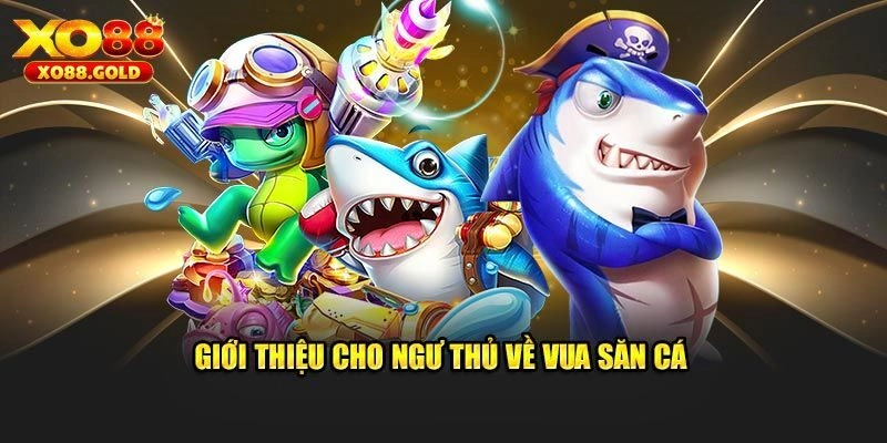 Chia sẻ các kỹ năng để trở thành Vua săn cá