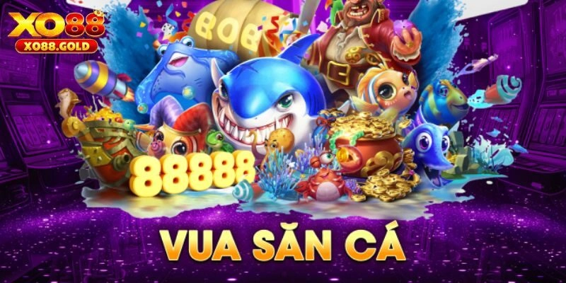 Giới thiệu về Vua Săn Cá